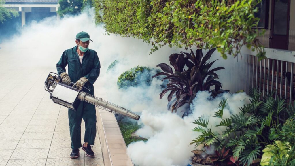 Fumigation-Services-in-Islamabad