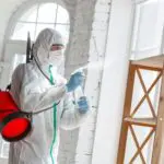Pest-Control-Services-in-Islamabad