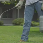 Fumigation-Services-in-Islamabad-and-Rawalpindi