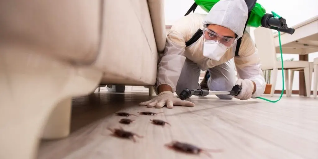 cockroach-control-services