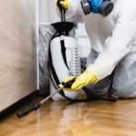 Best-Pest-Control-Services-in-Karachi