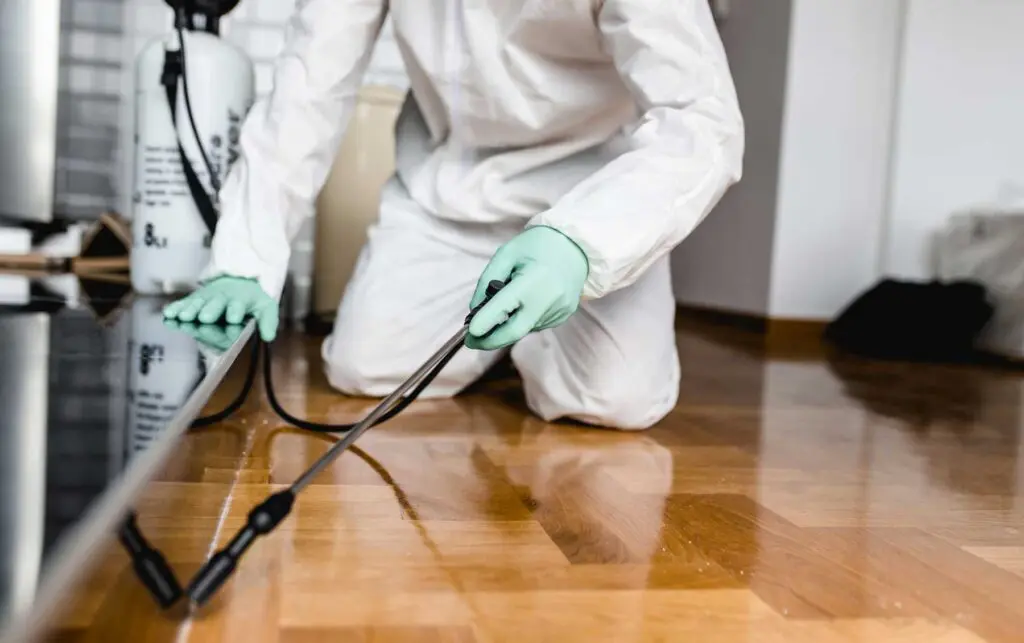 Termite-Control-Services