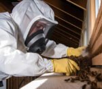 a men who spraying on the wood for termite control