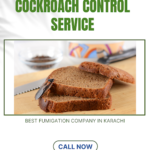 Cockroaches-control-services